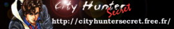 City Hunter Secret